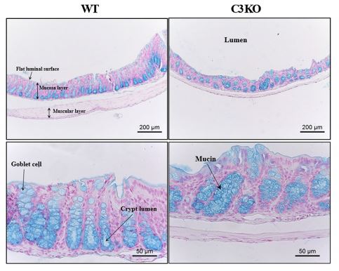 그림입니다.원본 그림의 이름: CLP00002a18be68.bmp원본 그림의 크기: 가로 483pixel, 세로 386pixel