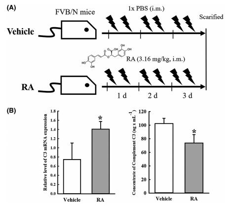 [분자생물실험실] 변비질환의 새로운 원인 밝혀
