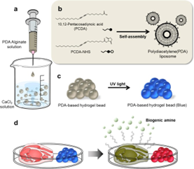 [고분자콜로이드실험실] 상한 음식에서 발생하는 생체 아민 검출용 색변이센서 개발