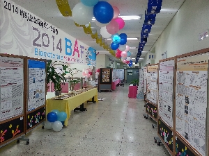 2014 BAF UCC공모전 최우수상