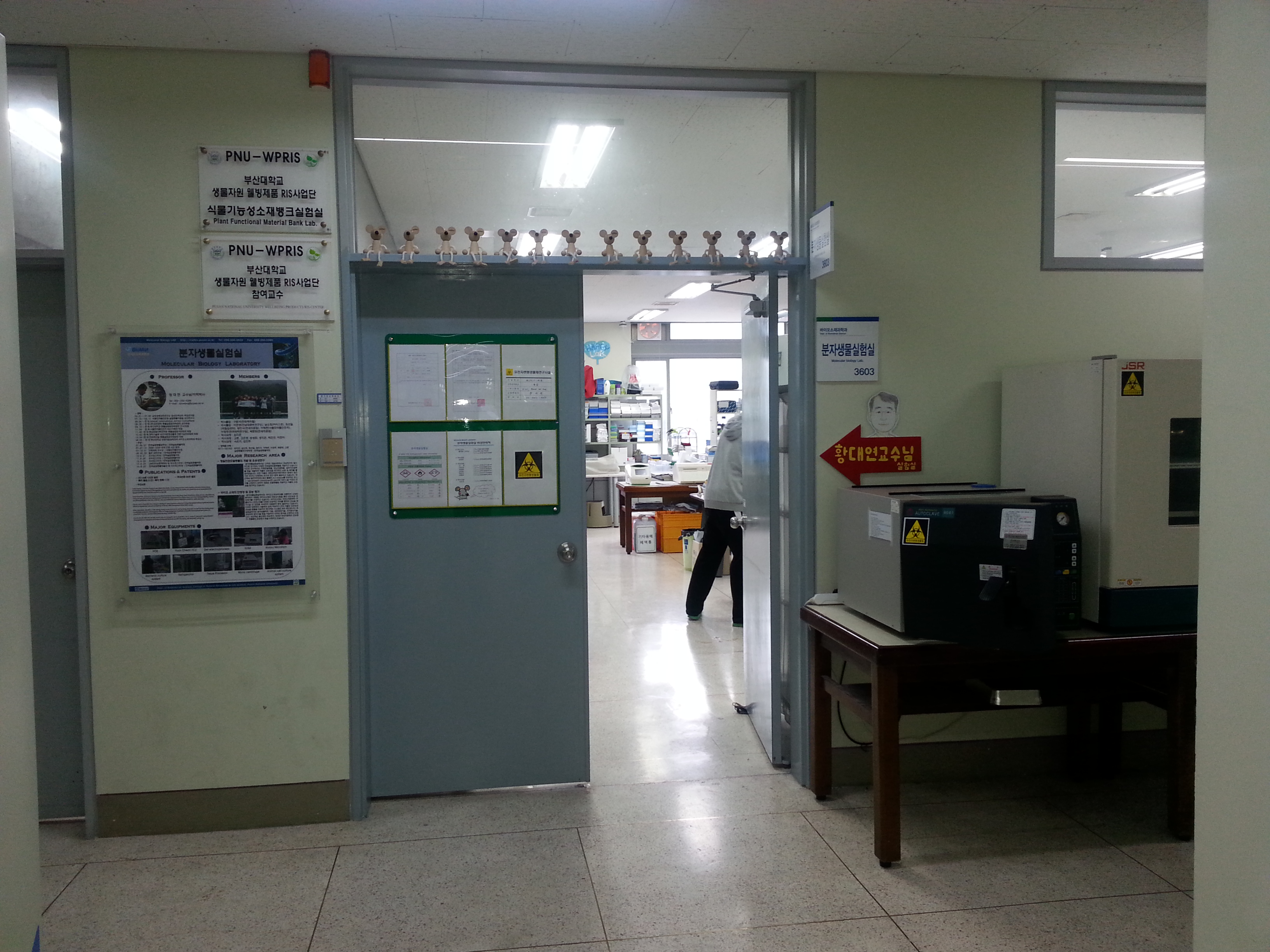 분자생물실험실2.jpg 첨부 이미지