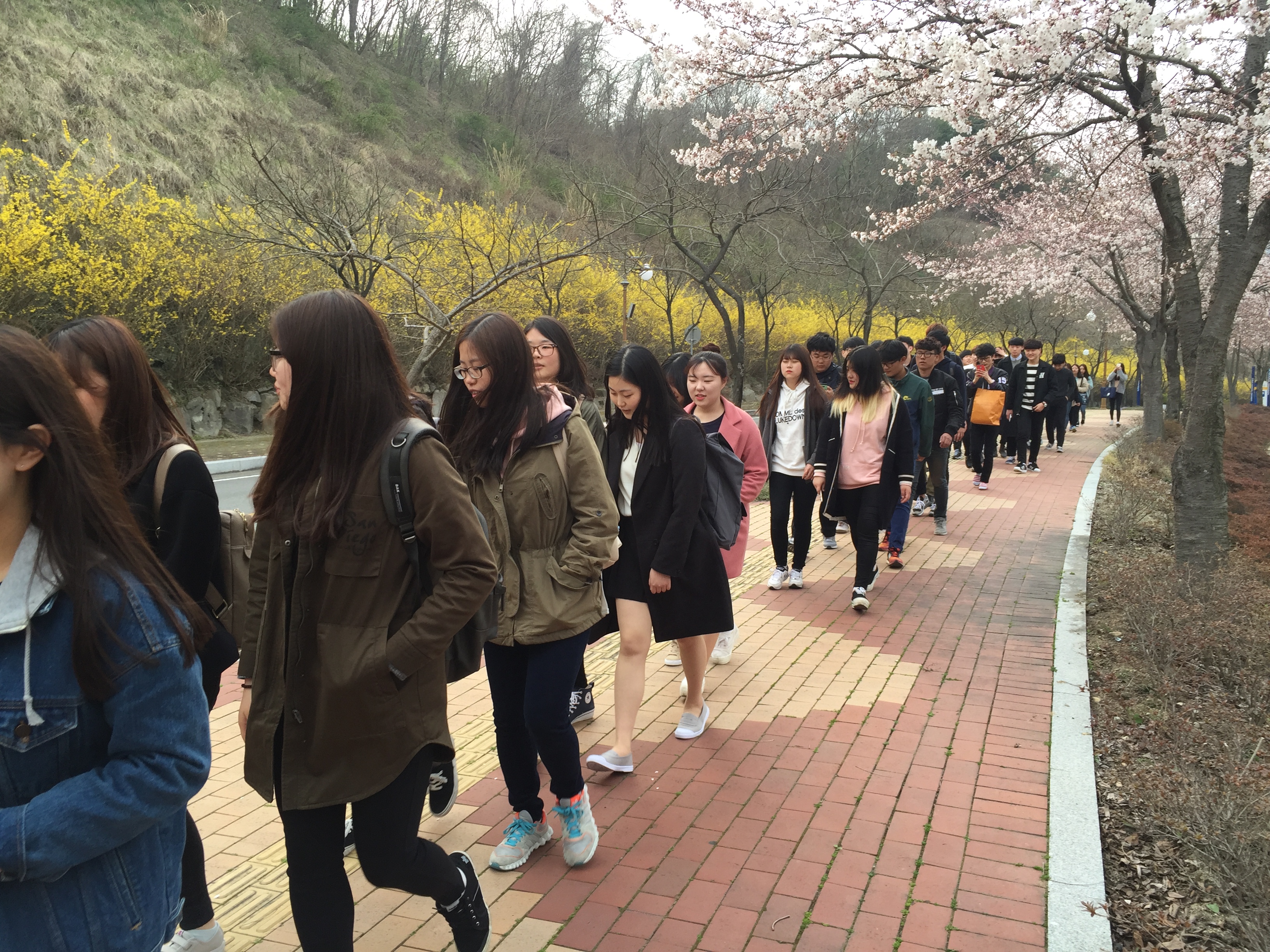 IMG_8815.JPG 첨부 이미지